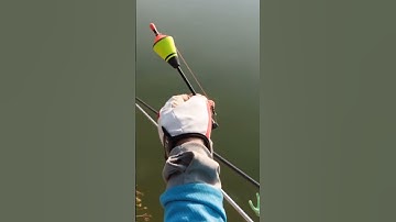 Phao câu cá tự động, đóng cá đến 10kg, phao câu đêm câu ngày 😍 | #2 Fishcamp Việt Nam #shorts