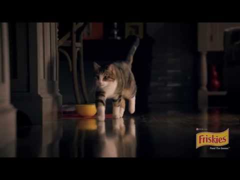 Friskies Night Lights Cat Food