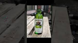 Download Lagu Agur apel hijau cap buaya MP3