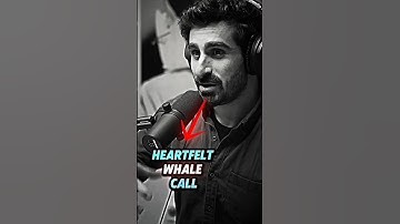 What Happens When A Whale Sings Near You