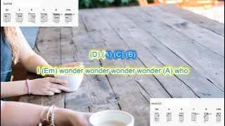 Dirty Low Down (no capo) by Boz Scaggs play along with scrolling guitar chords and lyrics