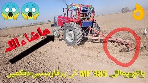 Mf 385 with 5 tine broad cultivator |deep powerful performance|
