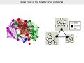 Leveraging graph theory to understand the large scale organization of cognitive control