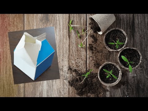 Gardening with a Milk Carton