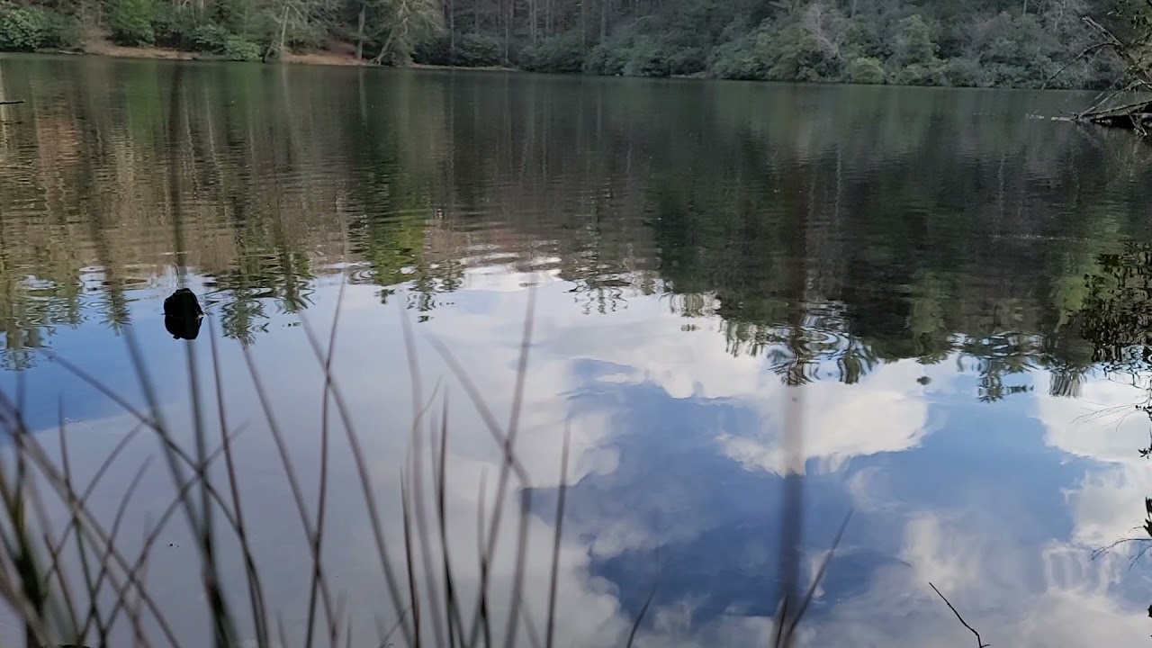 Lake Conasauga Water View #3