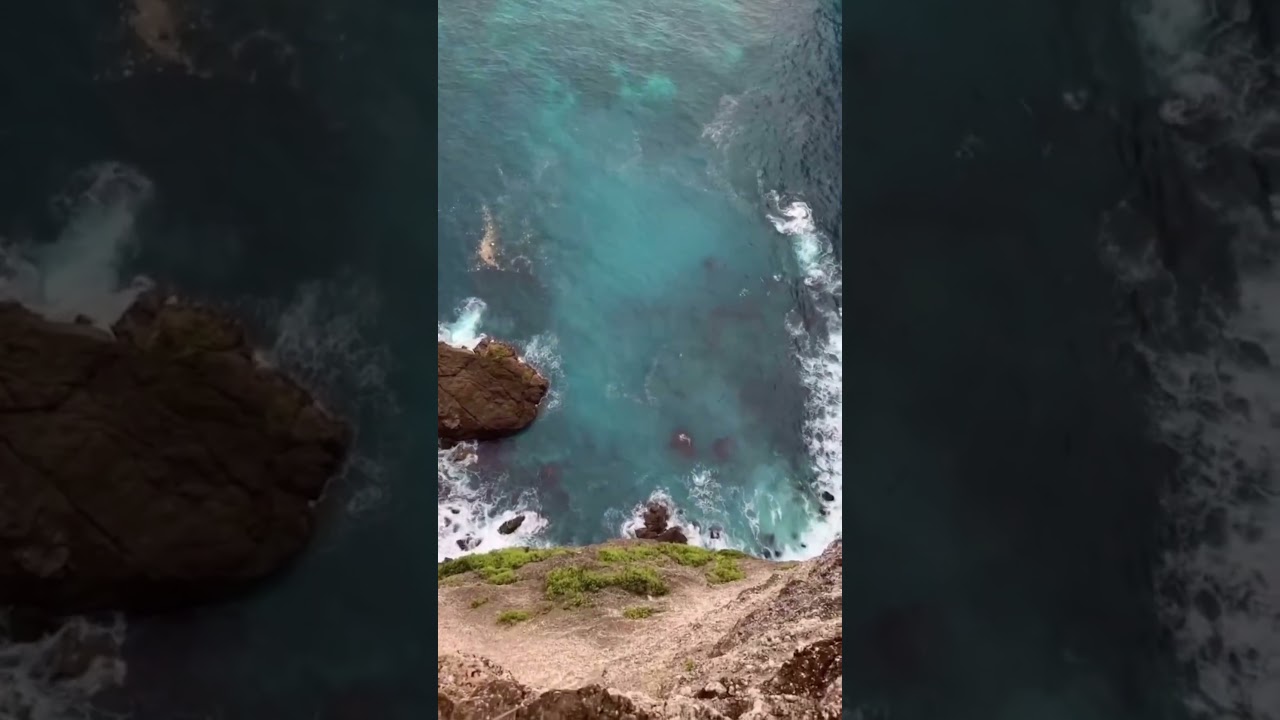 Get Your Dream Job Faster with Jobipo | Looking for a Job? Try Jobipo Today