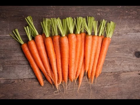 Как заморозить морковь? Способы, секреты и советы