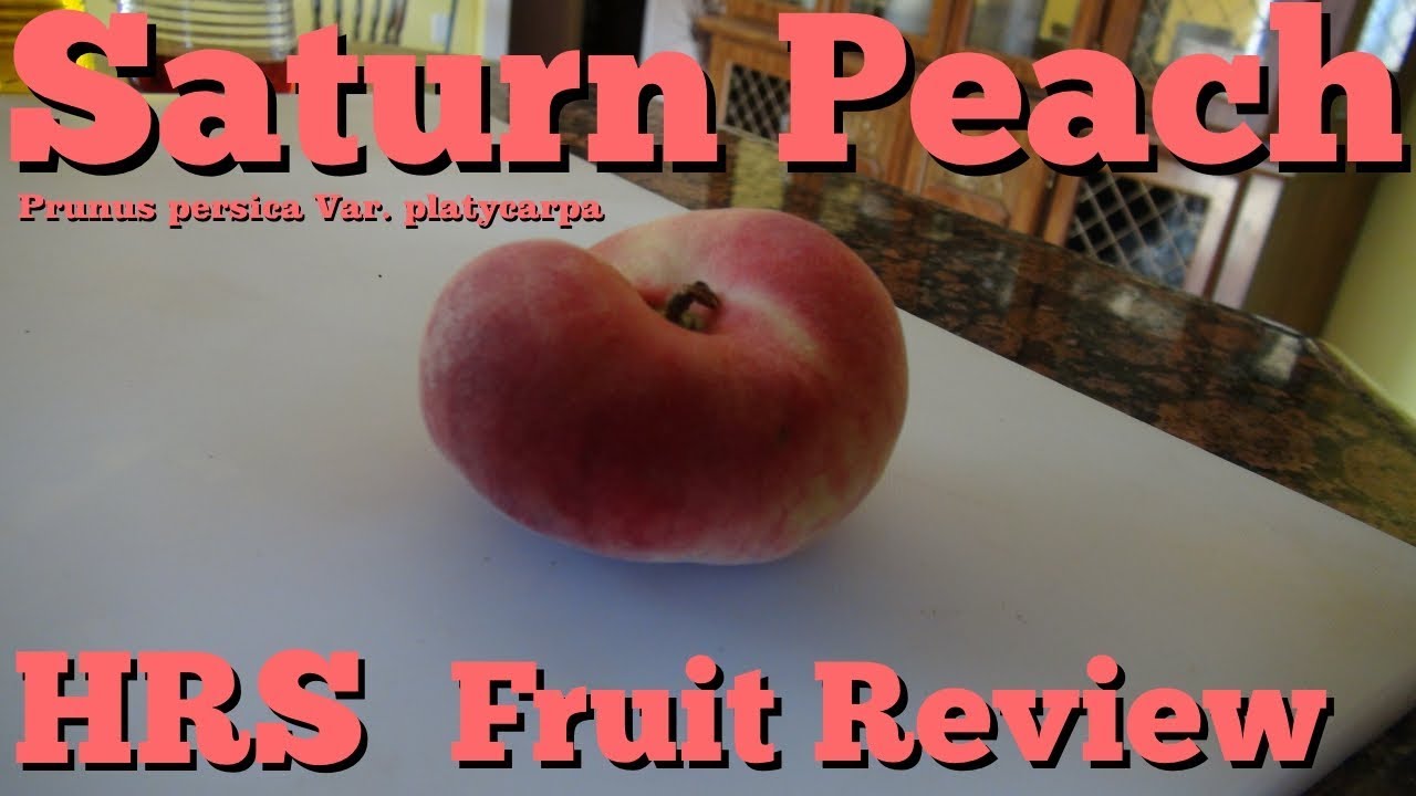 плоский обзор персика