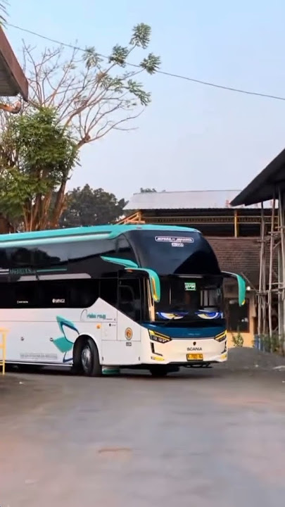 Story'WA bus RIMBA RAYA mboiss 25 detik