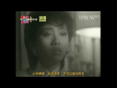 1985 大碟《似水流年》- 似水流年 (梅艷芳 Anita Mui)