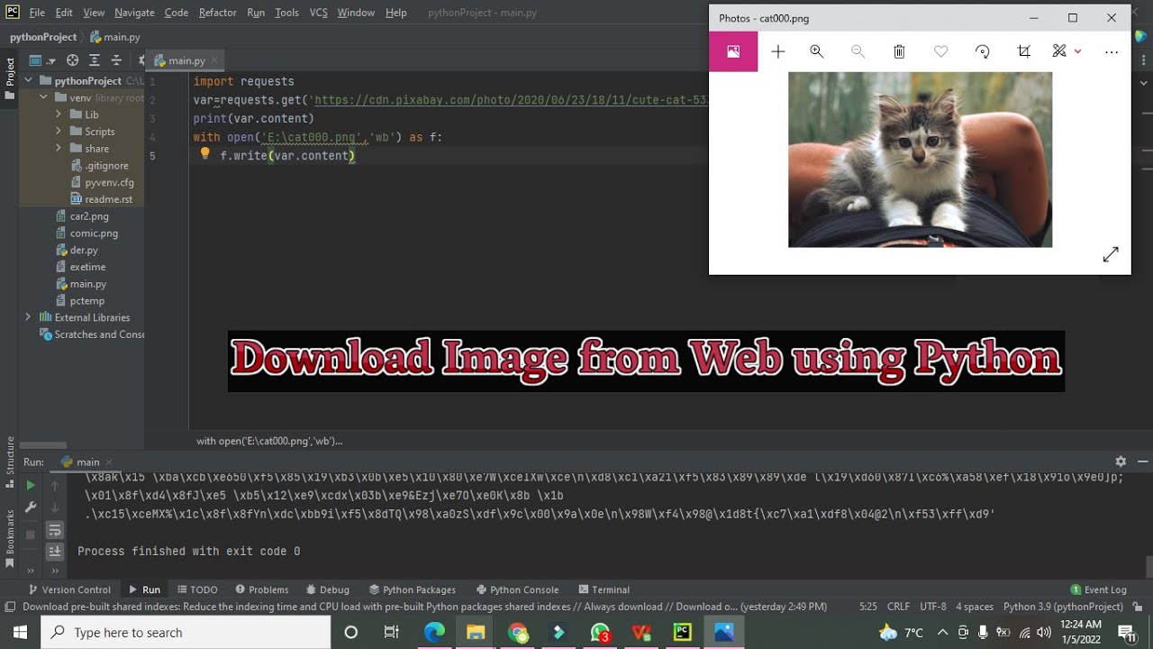 Request url python Request url python