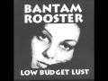 Miniature de la vidéo de la chanson Low Budget Lust