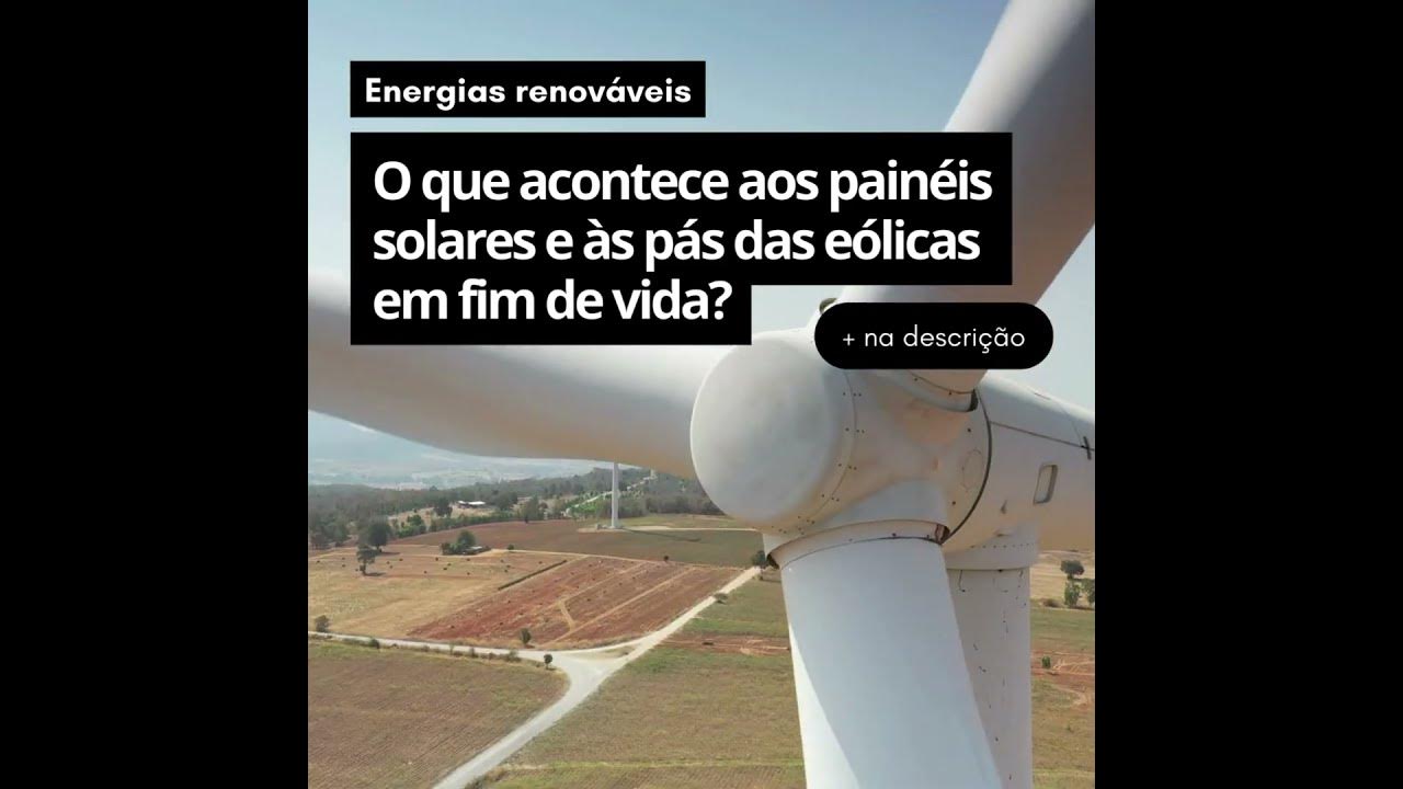 Energia eólica transforma o vento em energia útil: veja como funciona