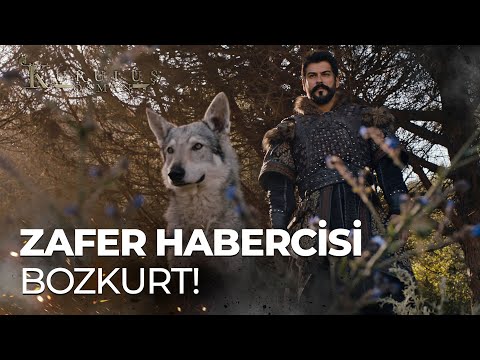 YIKILDI PUTLAR DİRİLDİ BOZKURTLAR! - Kuruluş Osman 163. Bölüm