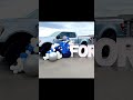 New Car Launch Event That Stopped Everyone #balloon #party