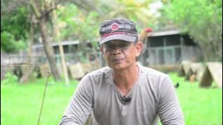 Manggis Farm Rumah Black Mamba di Bali