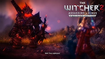 The Witcher 2: Assassins of Kings - Draug Boss Fight 1080p