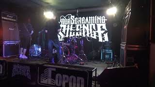 Your Screaming Silence - RESTART THE BEATING FEST (Москва, 22.07.2023).