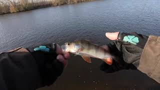Рыбалка на нижней Москве реке