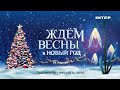 «Ждём весны в Новый Год на «Интере» — смотрите 31 декабря в 22:15 только на «Интере»