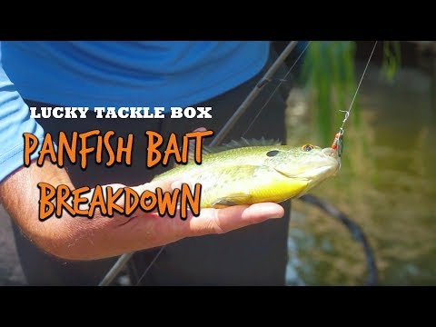 August LTB Panfish Bait Breakdown 