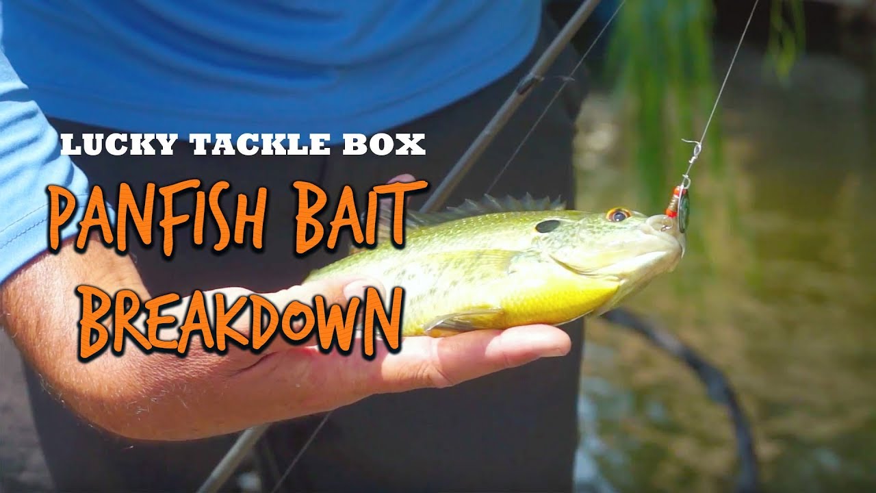 Nick Smith Went In-Depth With LTB Panfish Box