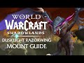 Dusklight razorwing easy mount guide patch 91  shadowlands