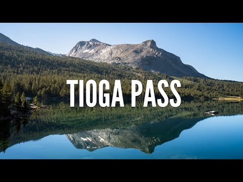 Video: Tioga Pass u Yosemiteu
