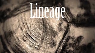 Lineage
