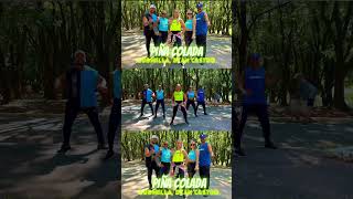 Piña Colada - Ludmilla & Ryan Castro | #zumba #choreography #brasil #zumbafitness #dance