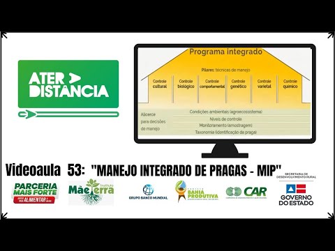 Vídeo: Doenças E Pragas De Rabanete. Parte 1