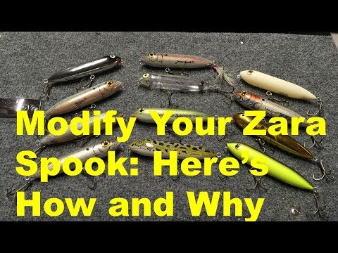 How and Why to Modify Your Zara Spook 