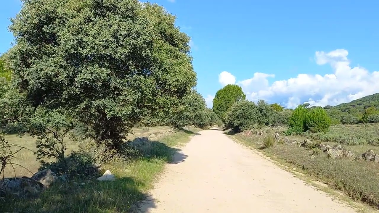 CAMINATA MATUTINA POR EL MONTE EN SOTILLO DE LA ADRADA PARTE 1.