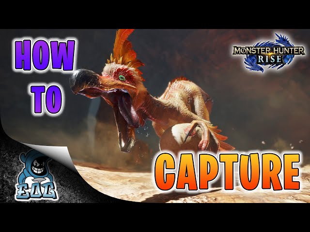 Monster Hunter World - How to capture monsters large and small