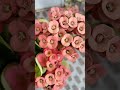 #nirmit0611 #flowers #homegarden #nature #trending #viral