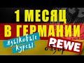 Месяц в Германии, языковые курсы, обзор магазина REWE