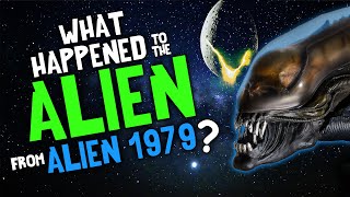 What Happened to the ALIEN from 1979?