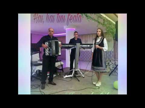 Trandafilu 2017 -
