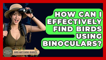 How Can I Effectively Find Birds Using Binoculars? - Bird Watching Diaries