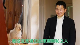 主人被博美犬追著咬，訓犬師使用各種套路，狗的CPU都快燒冒煙了！