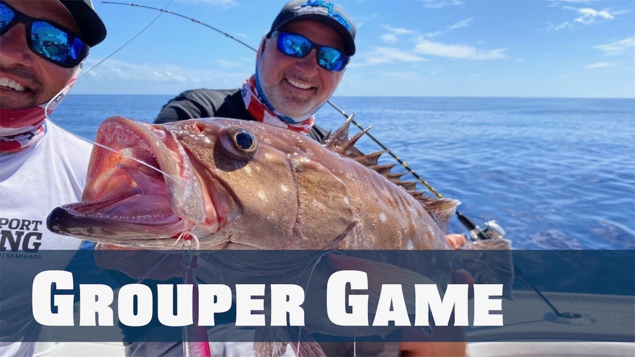 florida grouper fish