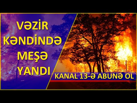 Video: Kaliforniyadakı hər bir milli meşə meşə yanğını riskinə görə bağlanıb