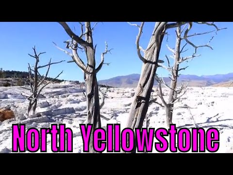 Video: Najbolje vrijeme za posjet nacionalnom parku Yellowstone