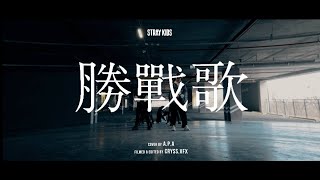 Stray Kids \