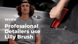 Why Professional Detailers use Lilly Brush Detailer Spotlight — Colorado Detail