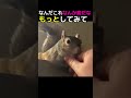 はじめて こんな気持ちを知った かわいいリス