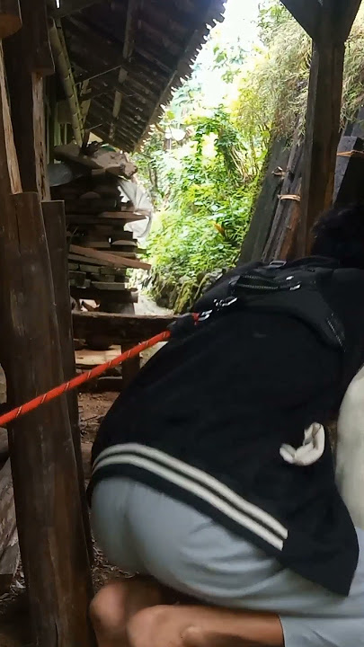 The sound of a dog choking