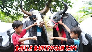 SI B0C1L BATTLE BANTENGAN SAPI LAGI SAMPAI MBEROT KALAPAM KESURUPAN