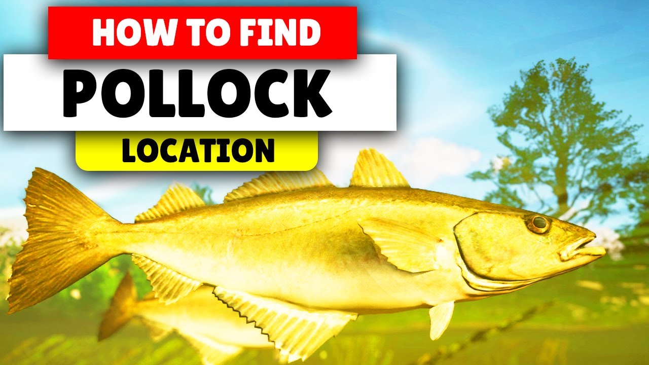 Assassin's Creed Valhalla How to find POLLOCK SmallRegularBig YouTube