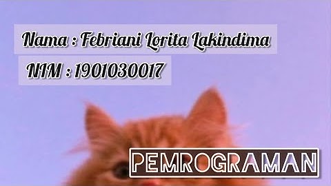 Pemrograman Komputer- Grafik dan suara(Matlab)
